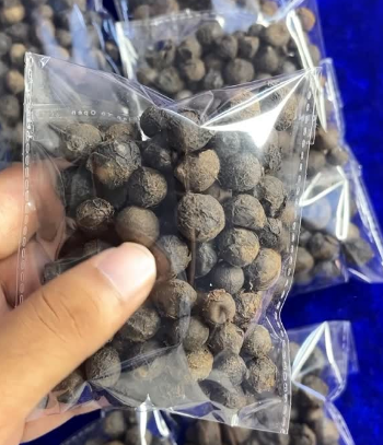 Safed White Sandal Wood Seed