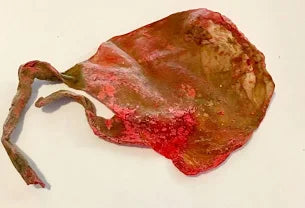 Energized Mantra Siddhi Billi ki Jer